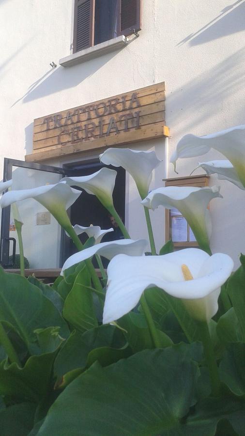 Trattoria Ceriati Room & Breakfast Салсомаджоре Терме Екстериор снимка